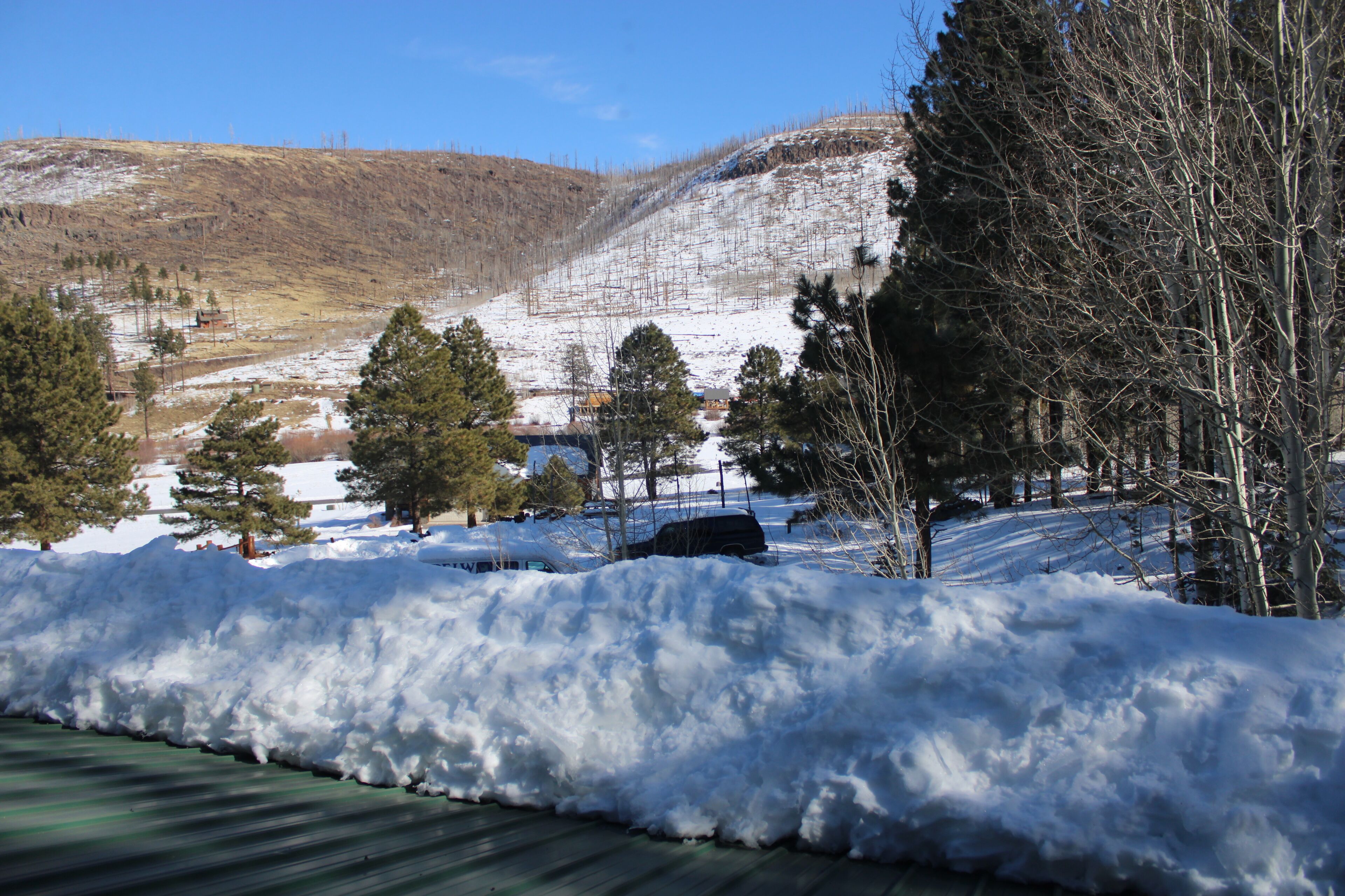 Room 305, Lion King Room ,1 King Bed | Zimmersafe, schallisolierte Zimmer, kostenloses WLAN, Bettwäsche