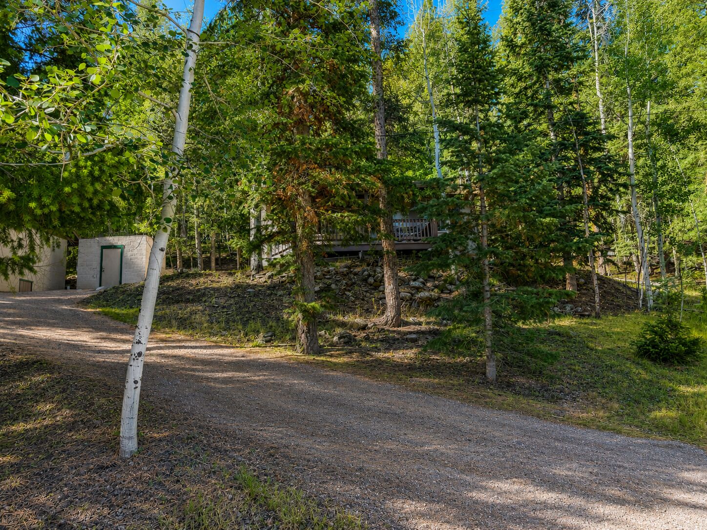 A gravel path leading to a building with a stone wall and a green door, surrounded by trees.