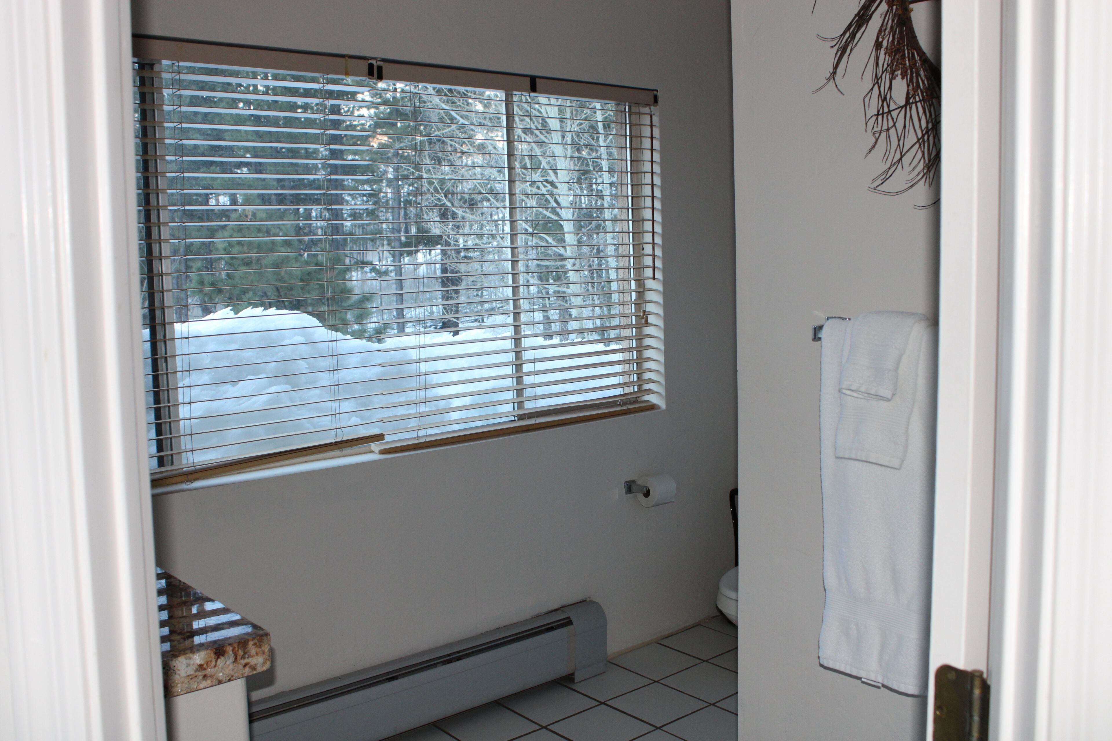 Une salle de bain avec une fenêtre, un porte-serviettes et un support à papier toilette.