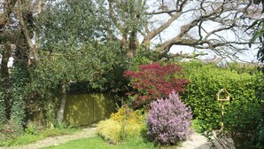 A garden with various plants and a wooden birdhouse.
