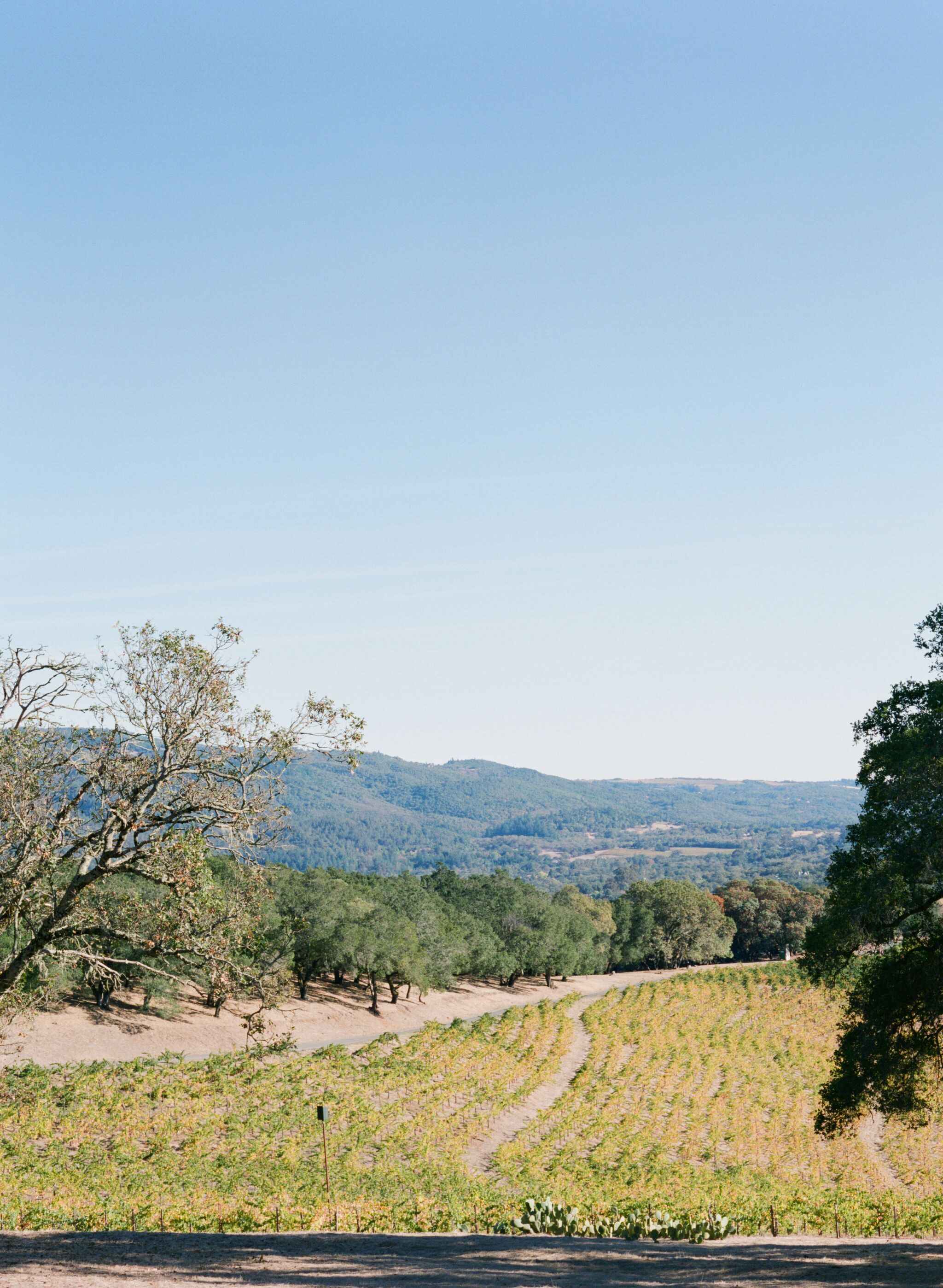 10 Best Luxury Cabins Near Napa County, California Updated 2024 Trip101