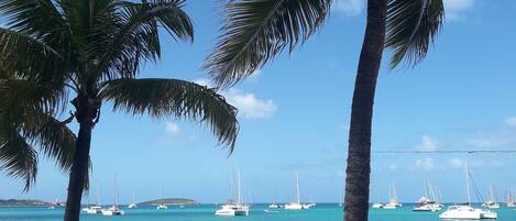 A beach with palm trees and boats in the water.