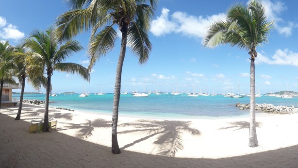 A beach with palm trees, clear blue water, and boats. - Studio "Entre Terre et Mer" Residence Anse des Sables (Marigot)