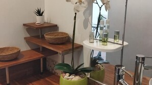 A bathroom with a wooden floor, a green plant in a pot, a white sink, and a mirror above the mirror. - Studio "Entre Terre et Mer" Residence Anse des Sables (Marigot)