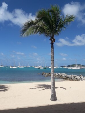 On the beach - Studio "Entre Terre et Mer" Residence Anse des Sables (Marigot)