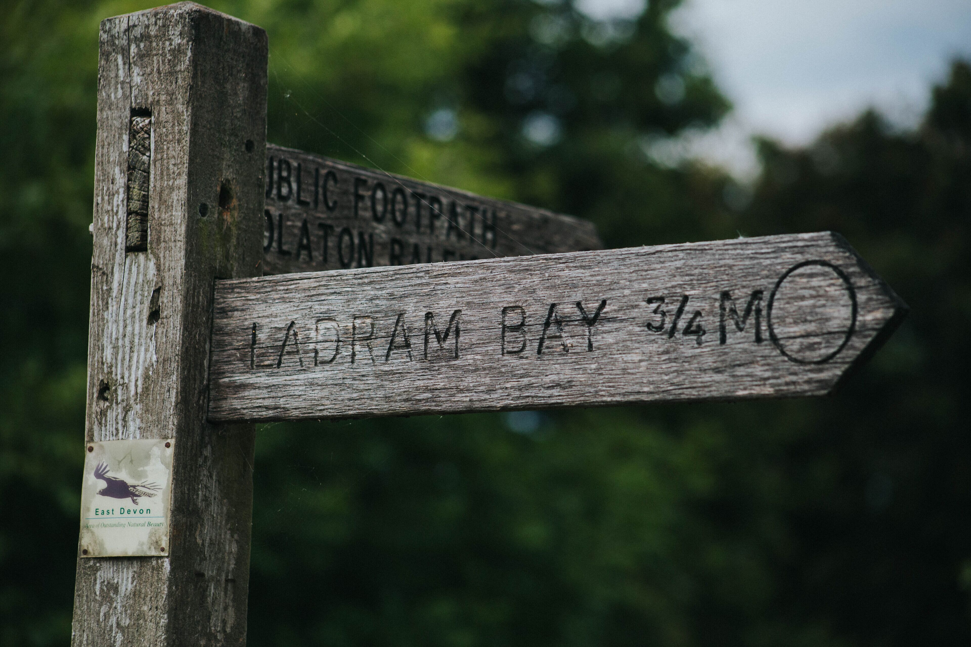 A wooden signpost with directions to 'LADRAM BAY 3 1/4 M' and 'PUBLIC FOOTPATH DELATON BAY'.