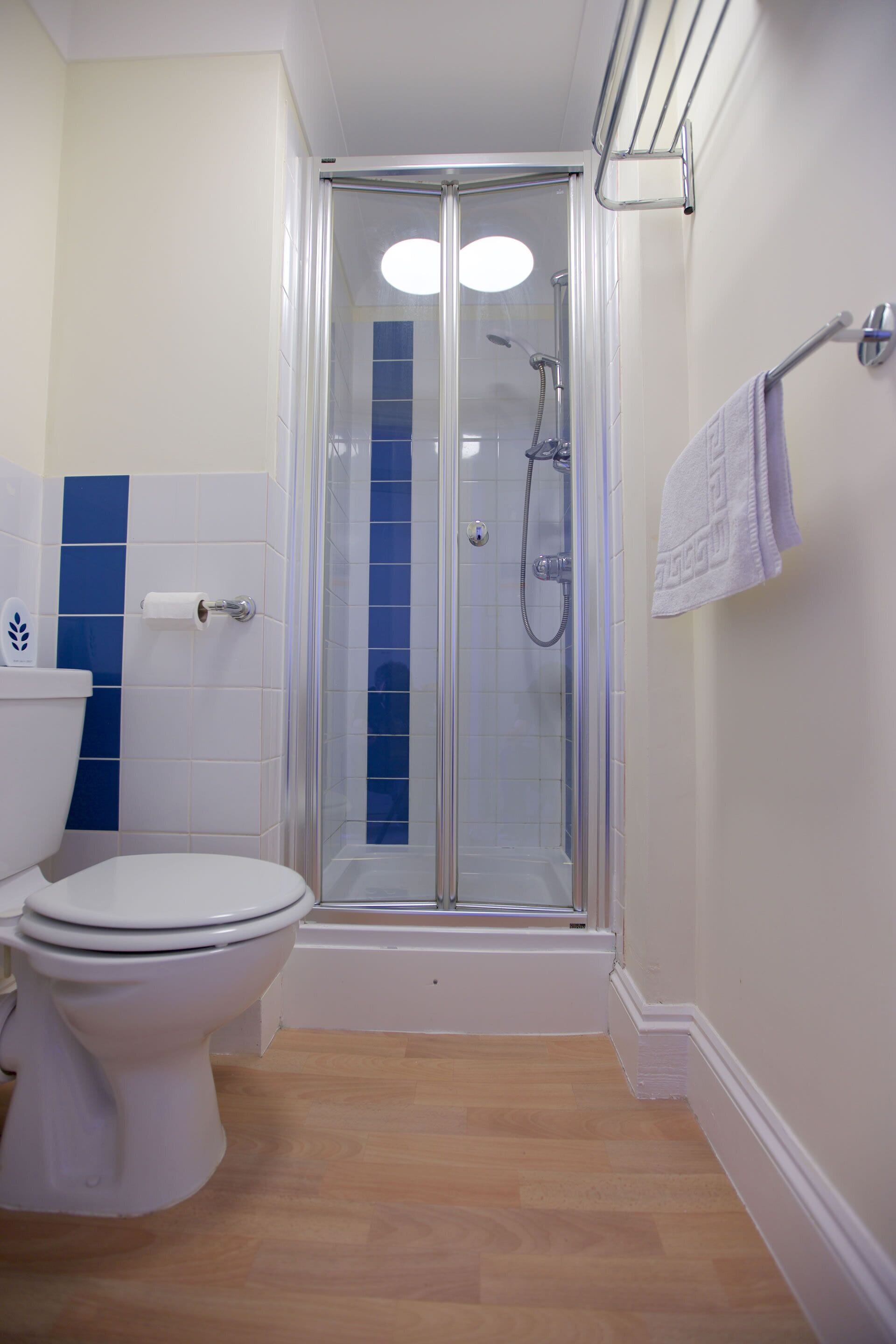 A bathroom with a glass-enclosed shower, a toilet, and a towel rack.