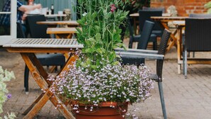 A patio area with outdoor seating and a potted plant with flowers. - Kings Arms Otterton (Budleigh Salterton)