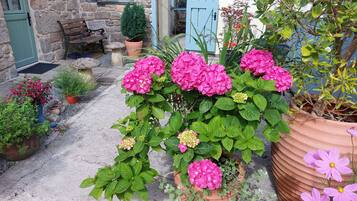 Stroll through a serene garden surrounded by vibrant hydrangeas and a variety of potted plants.