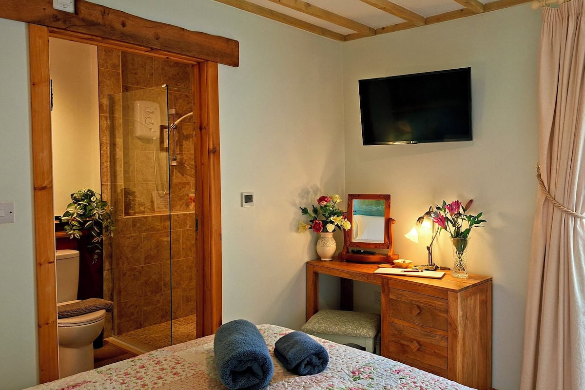A bedroom with a wooden bed, a desk with a mirror, a TV, and a window with curtains.