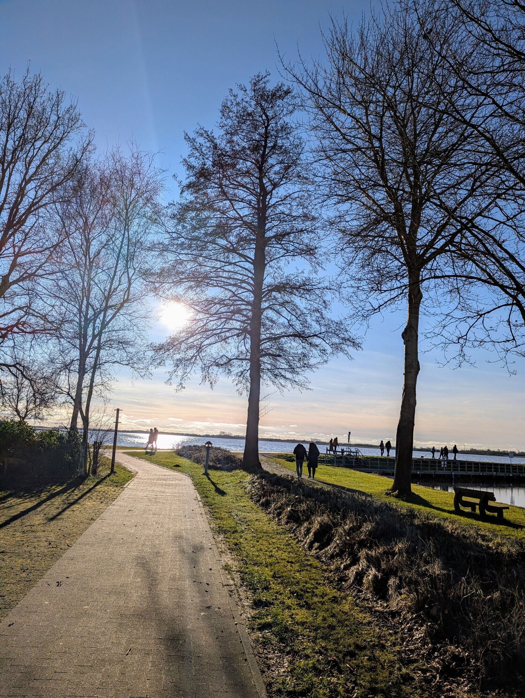 En asfalterad gångväg som löper längs med en vattenyta, med träd på båda sidor.