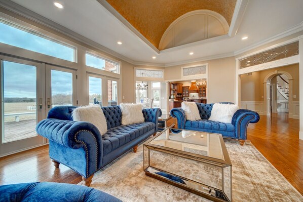 TV, fireplace, books