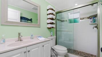 Shower, hair dryer, towels