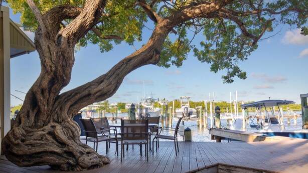 Una terraza de madera con mobiliario exterior, un árbol grande y un puerto deportivo con barcos al fondo.