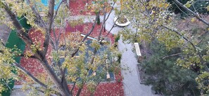 المنطقة المحيطة بالمنشأة