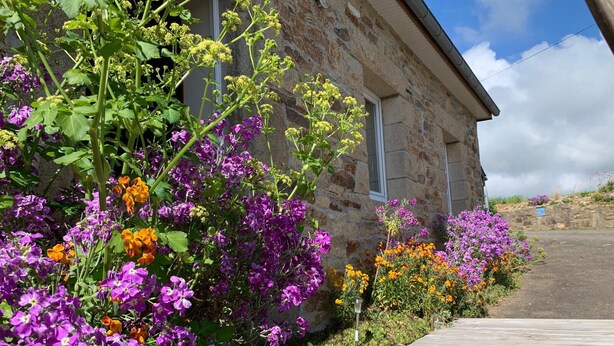 A stone building with a wooden deck in front, surrounded by vibrant purple and orange flowers. - Old farmhouse 100m², quiet, 500 m from the beach, sleeps 6-9 (Saint-Michel-en-Grève)