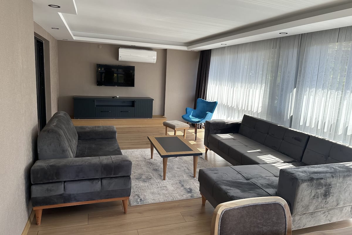 A modern living room with a grey sofa, a blue armchair, and a wooden coffee table.
