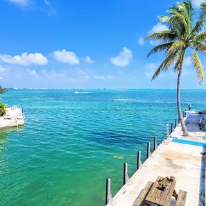 A pier with a palm tree, clear turquoise water, and a distant shoreline. - 2BR,2BA w KING Master,35' SeaWall-SS and Quartz Kitchen,Bikes, Kayaks and VIEWS  (Cudjoe Key)