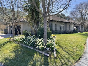 Property grounds - Delightful 4 bedroom ranch with poolside kitchen (Gilroy)