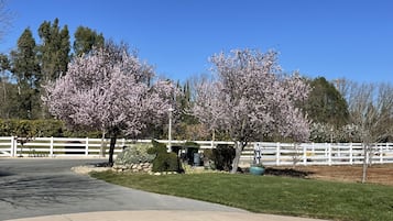 Enceinte de lâhĂ©bergement