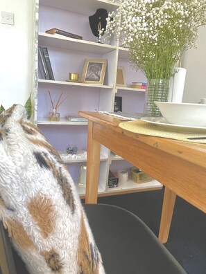 Interior - A charming oasis of comfort and privacy (Ruaka)