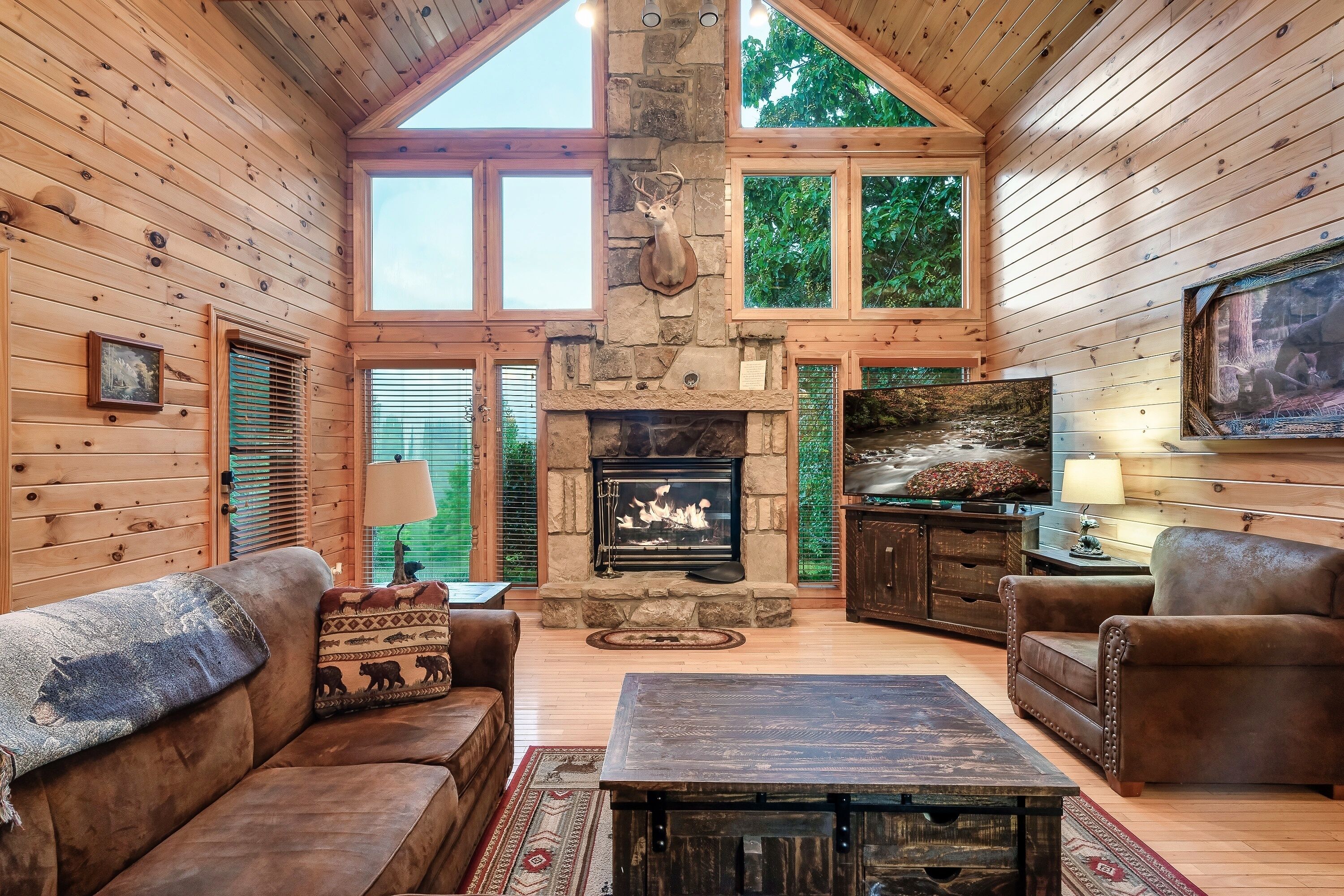 Smart TV, fireplace, video games