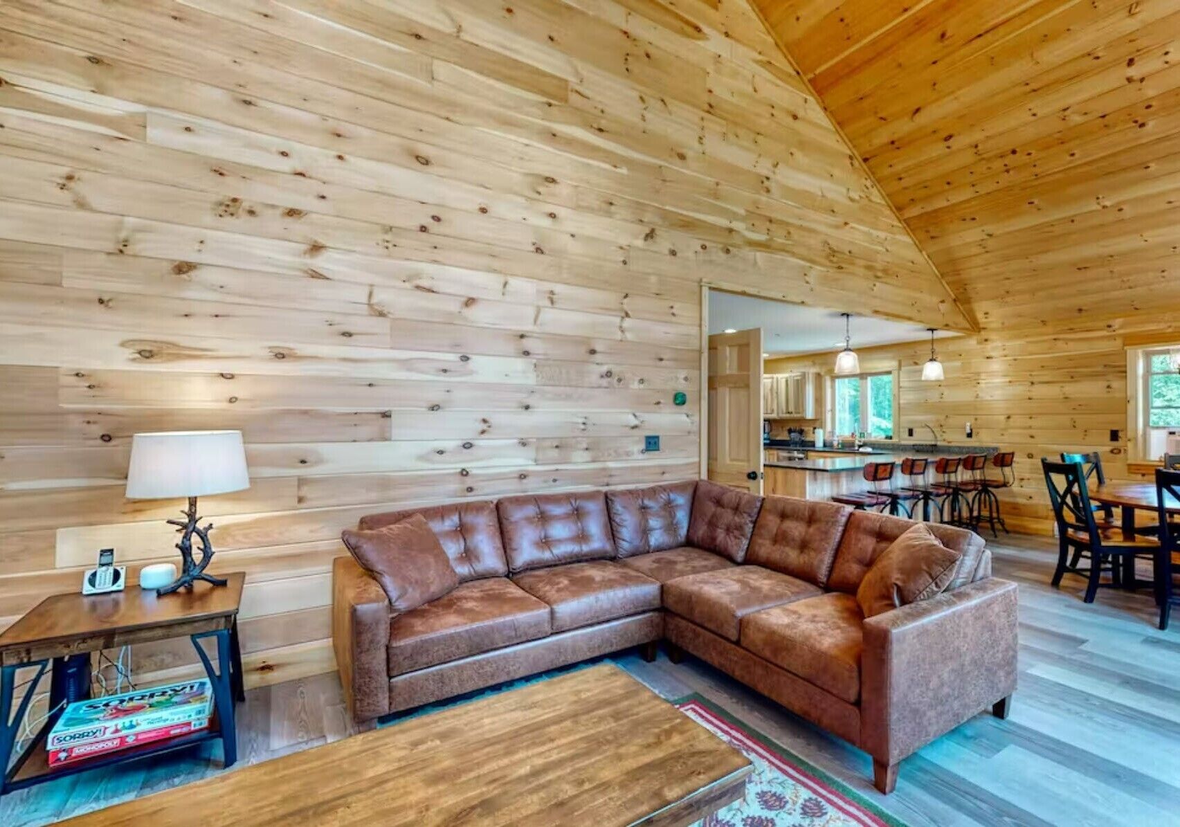 Gorgeous dog-friendly cabin with great view, deck, hot tub, & gas fireplace