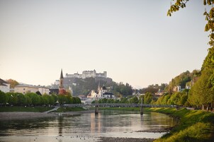 A riverside view with a castle on a hill, a bridge, and surrounding greenery.