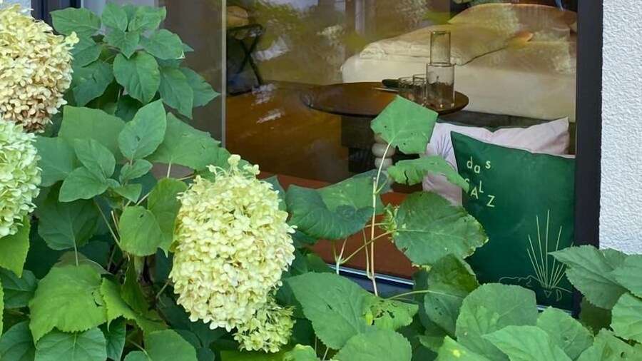 Boutique Hotel das Salz