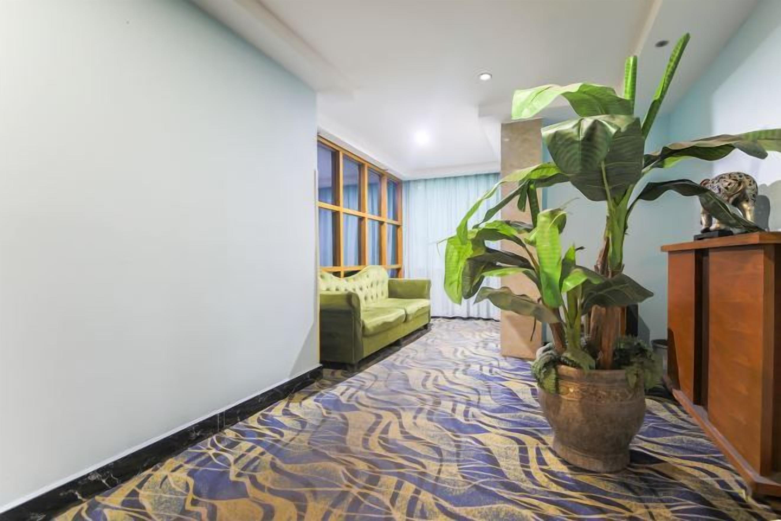 Un couloir avec un tapis à motifs, un canapé vert, une plante en pot et un meuble en bois.
