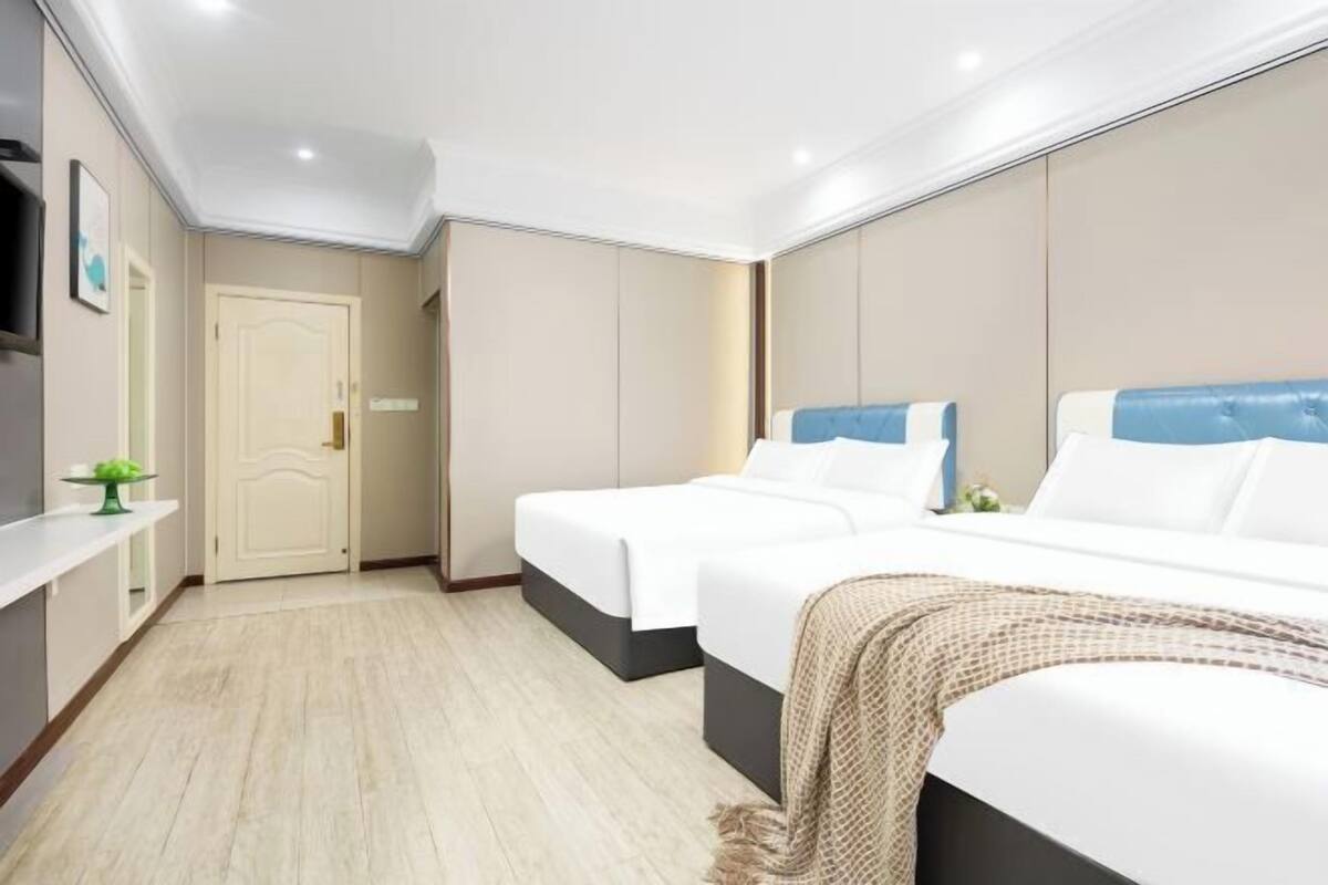 A hotel room with two beds, a TV, a door, and a small table with a plant.