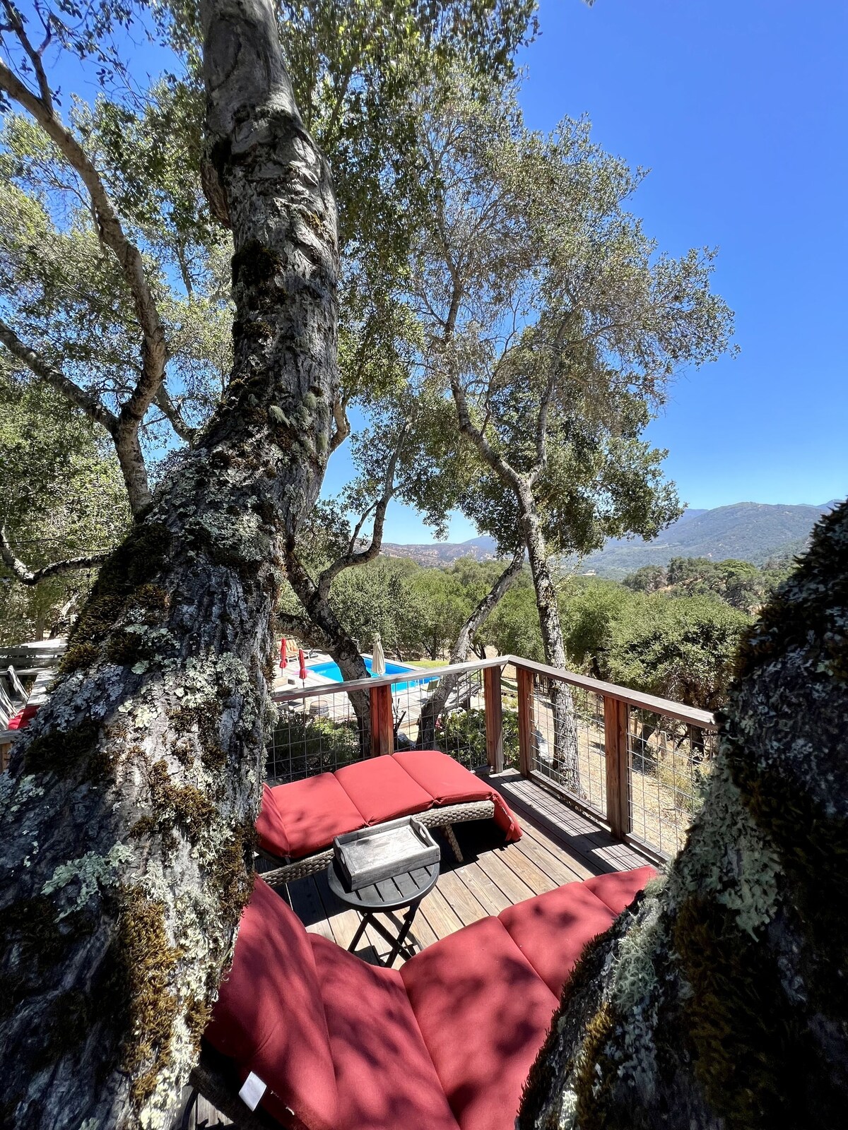 Photo 48 of Gated Carmel Valley Retreat with 20 Acres, Pool & Hot Tub