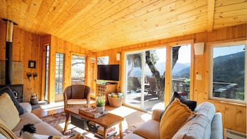 TV connectée, cheminée