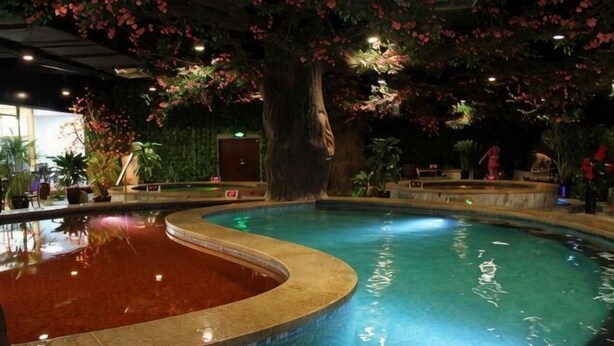 Une piscine intérieure au design incurvé, entourée de plantes en pot et d’un grand arbre.