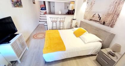 Logement Cannes Suquet emplacement idéal