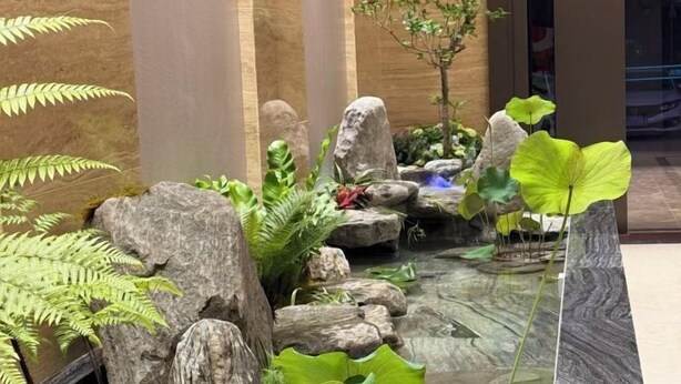 A rock garden with a small water feature, large leaves, and a tree. - Boying Business Hotel (Jiangmen)