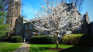 A stone building with a large tree in front. - Historic 4-Bedroom Manor | Walk to Music Row & Vanderbilt | Family Retreat (Nashville)