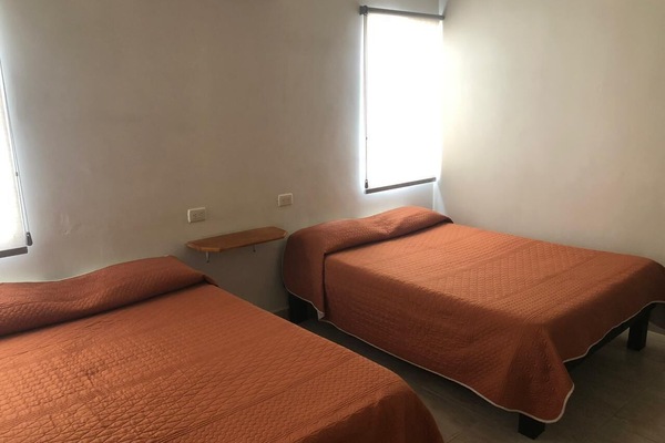 Ropa de cama de alta calidad, cubrecamas y cortinas blackout