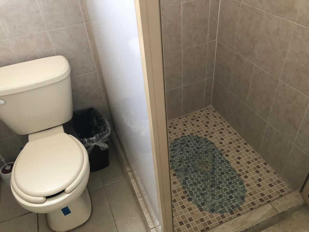 A bathroom with a toilet, a trash bin, and a shower area with a tiled floor.