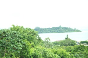 Premium Suite | Exterior