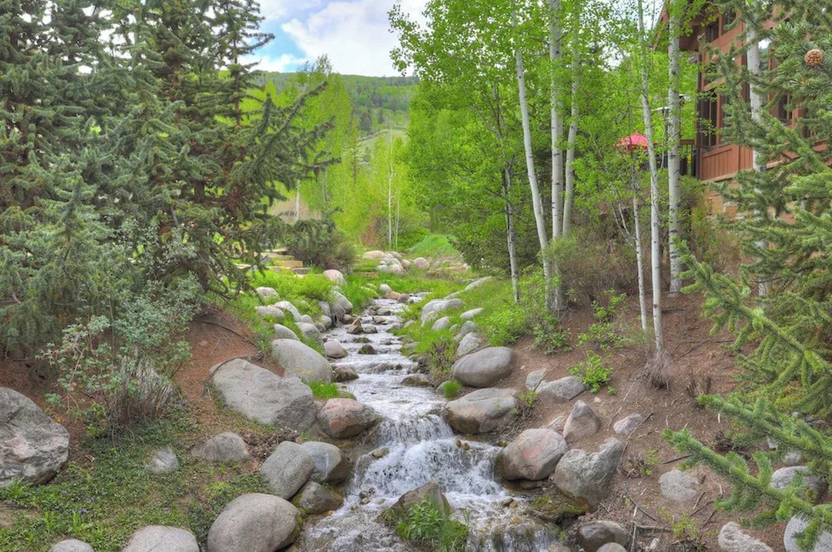 A natural landscape with a small stream, rocks, and trees.