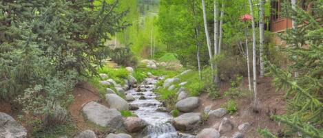 Un paisaje natural con un arroyo pequeño, rocas y árboles.