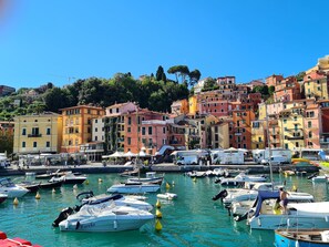 Marina - Magnolia Apart: Historic Elegant, Seaview, 2 AC BDR 2 BTH, Free Garage at 200 mt (Lerici)
