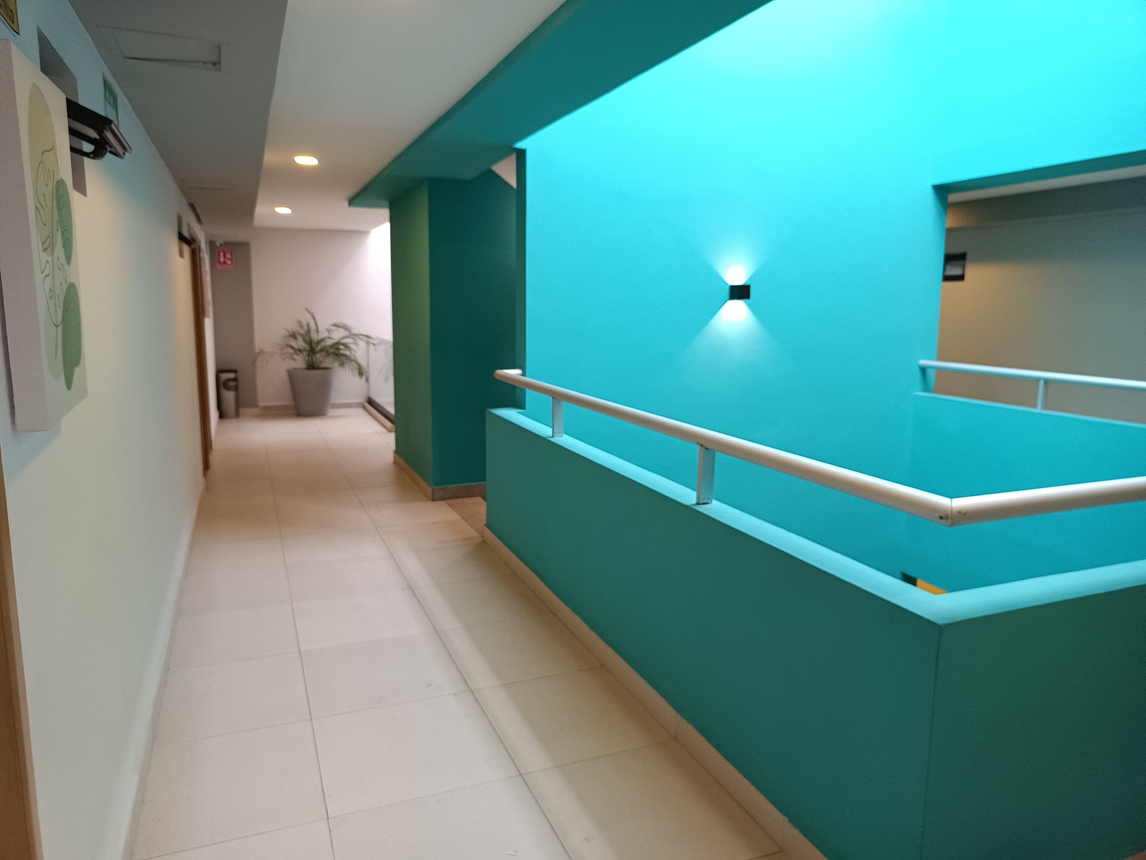 A hallway with teal walls, a white railing, and a potted plant.