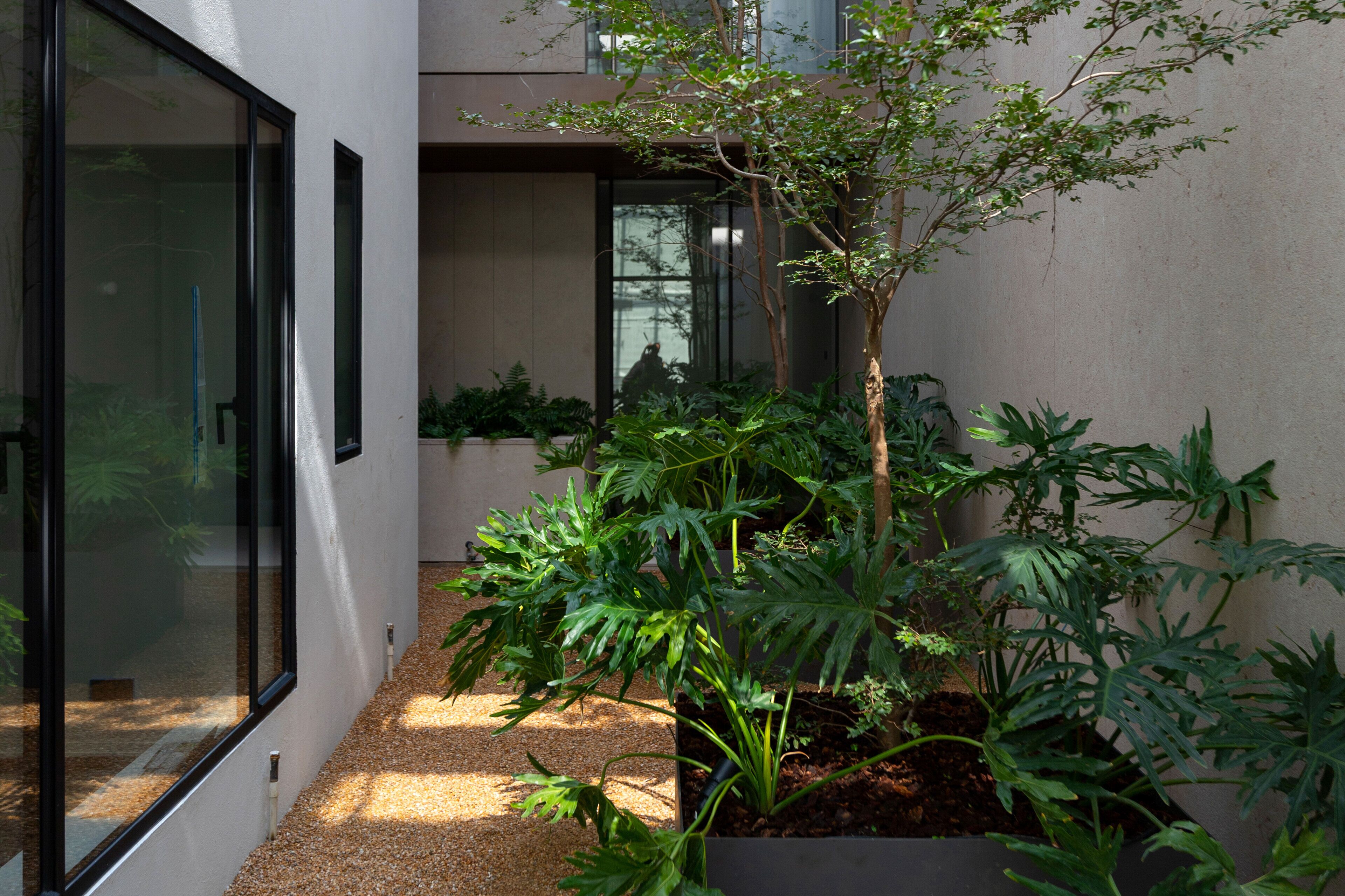 Foto - Casa Polanco Hotel Boutique