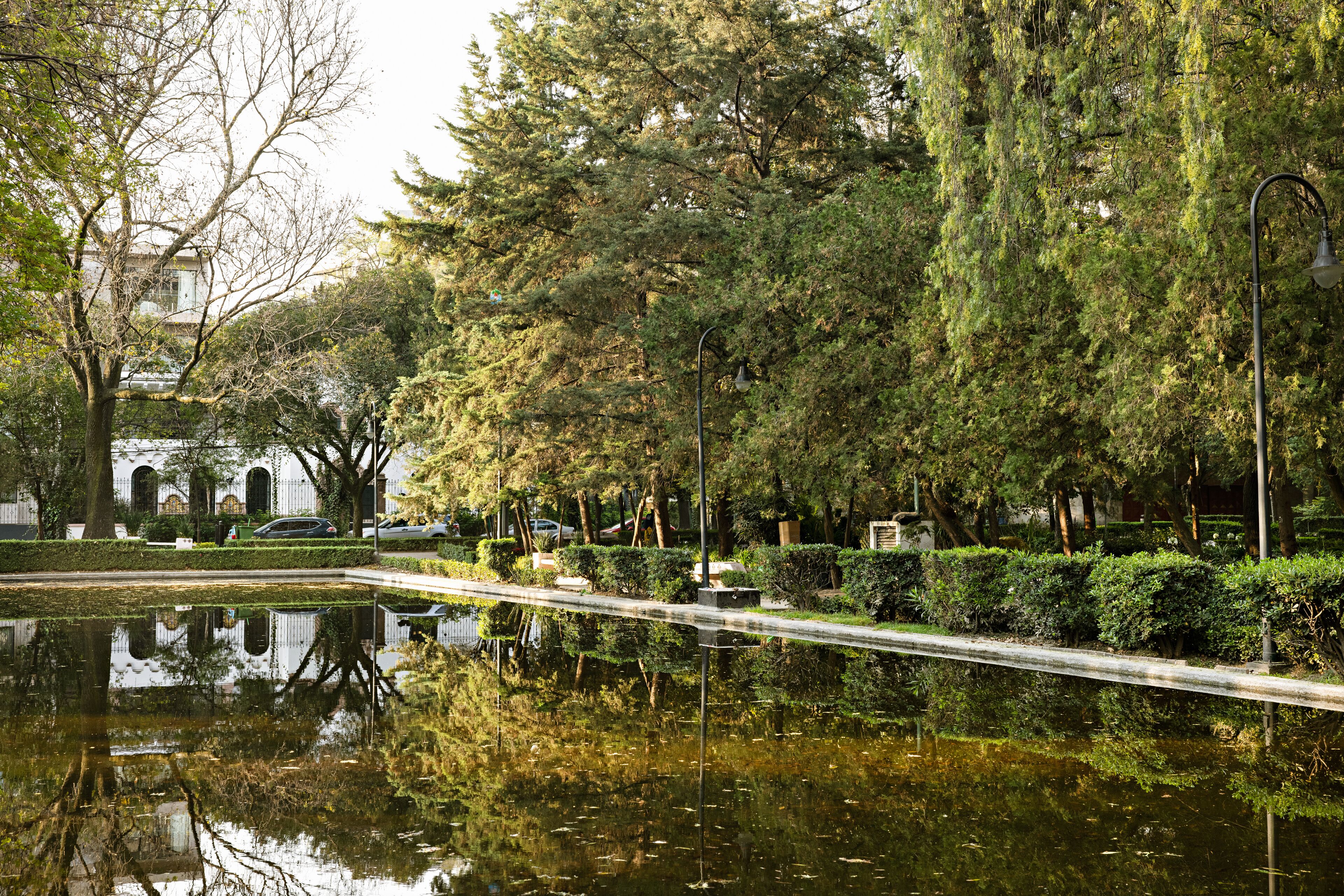 Foto - Casa Polanco Hotel Boutique