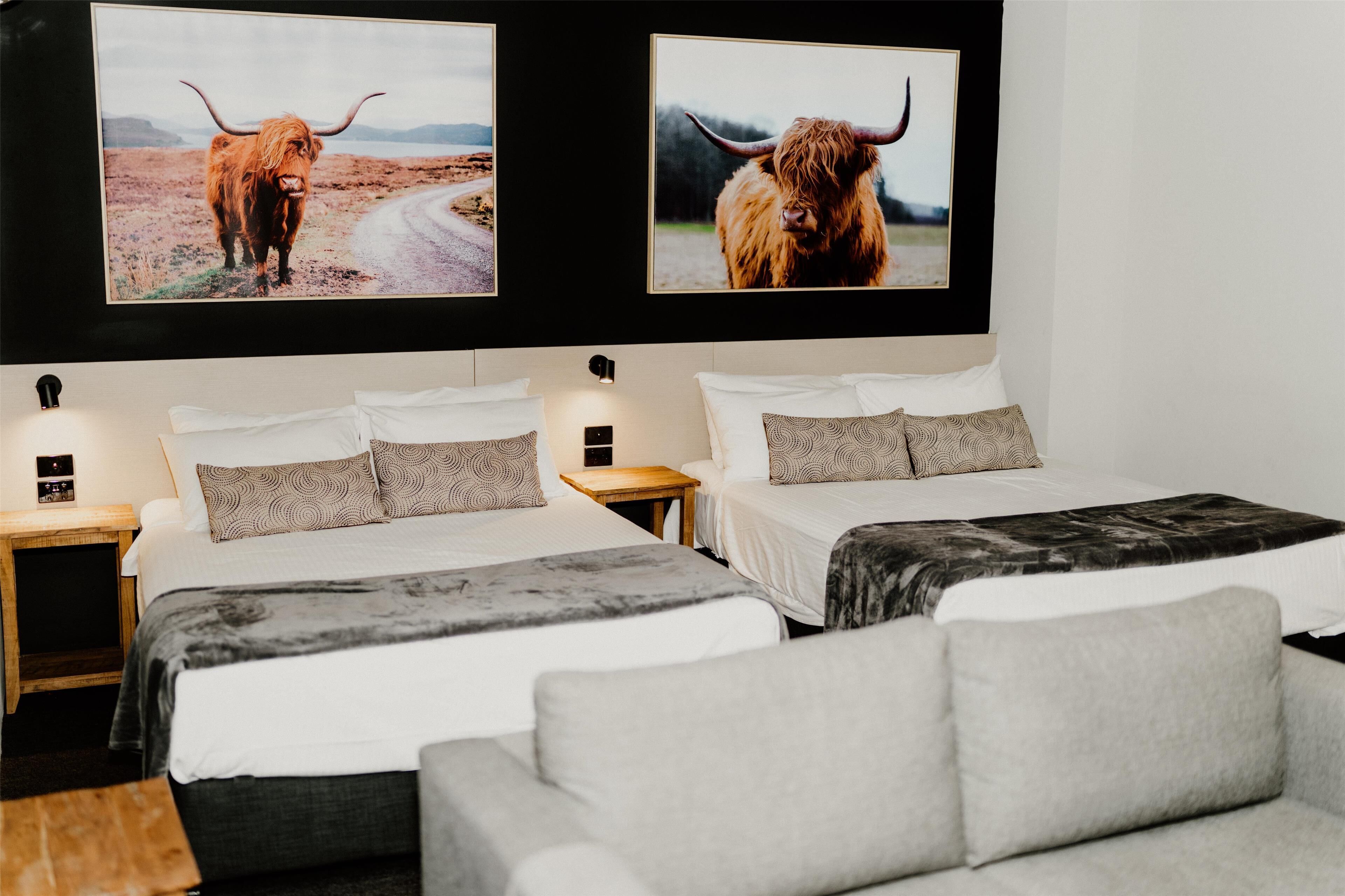 A hotel room with two beds, a sofa, and two wall-mounted TVs displaying images of Highland cattle.