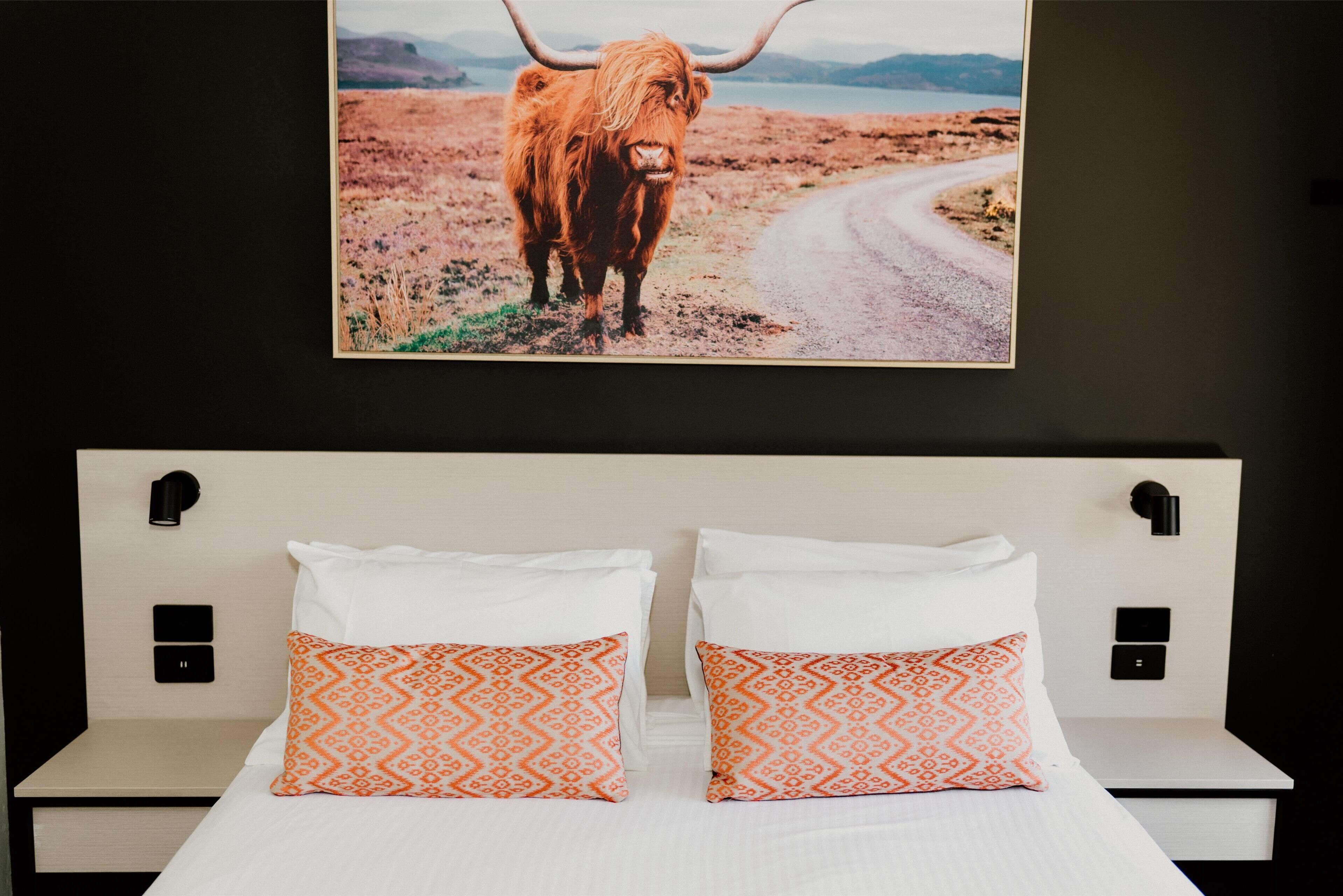 Un lit avec des oreillers à motifs blancs et orange, une tête de lit dotée d’interrupteurs lumineux fixés au mur, et un tableau encadré représentant une vache des Highlands sur une route.