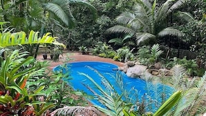 A swimming pool surrounded by lush tropical vegetation.