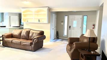 Smart TV, fireplace, books